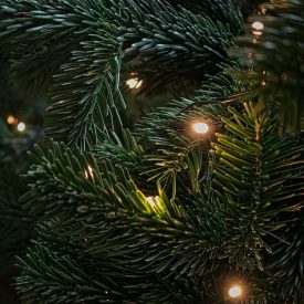 Amaryllis grotendeels bereikbaar in kerstvakantie