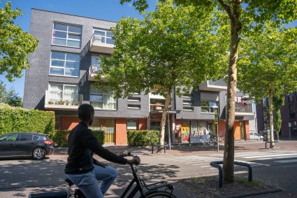 20250818 Locations Odensehuis Amaryllis Mark Grupstra 005