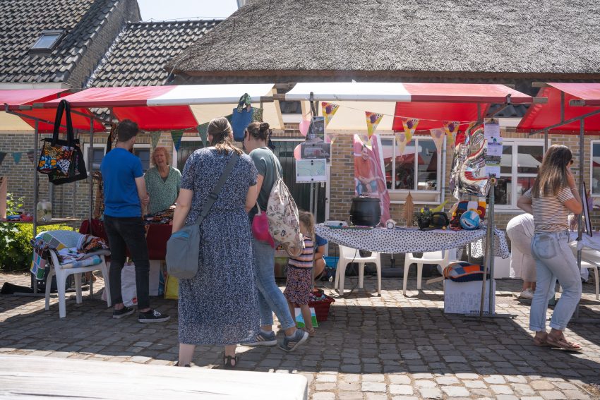 Zomerfair Amaryllis